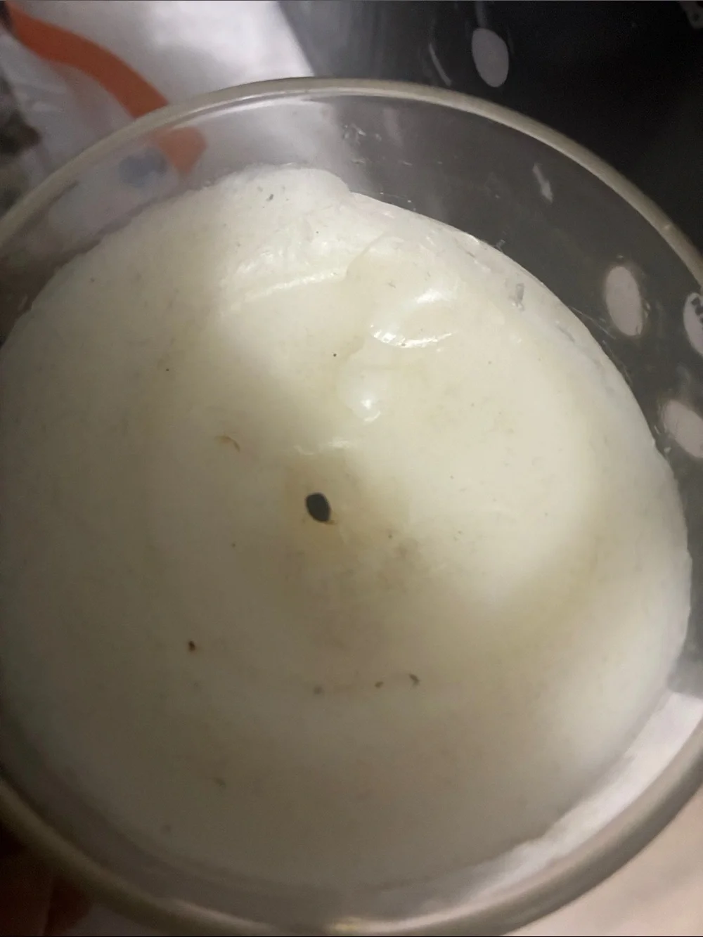 diptyque Philosykos and candle